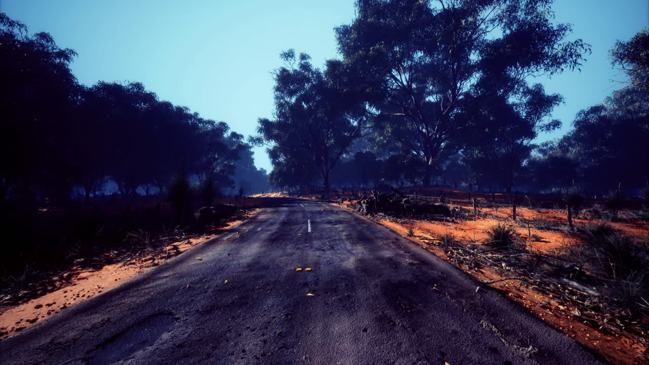 Scenic empty road surrounded by dense trees in a quiet natural landscape