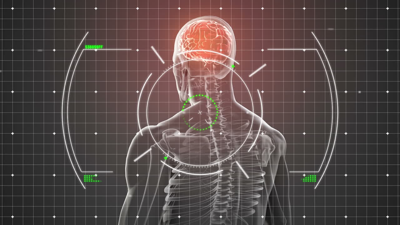 회색 배경에 뇌를 가진 뷰파인더 위의 고장 및 인간 모델의 애니메이션