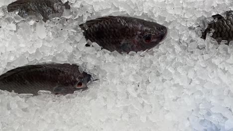 Pescado-Crudo-Recién-Hecho-En-Hielo-A-La-Venta-En-El-Supermercado