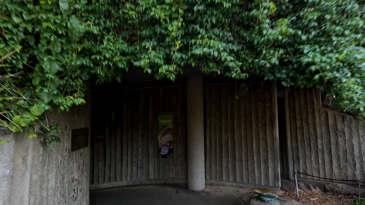 입구는 울창한 초록색과 잎자루로 둘러싸여 있습니다.