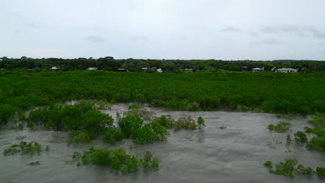 Aerial-Drone-of-Ocean-To-Mangrove-Stand-in-Land-and-Houses-on-Coastal-Edge-in-Darwin-NT-Sea-Australia