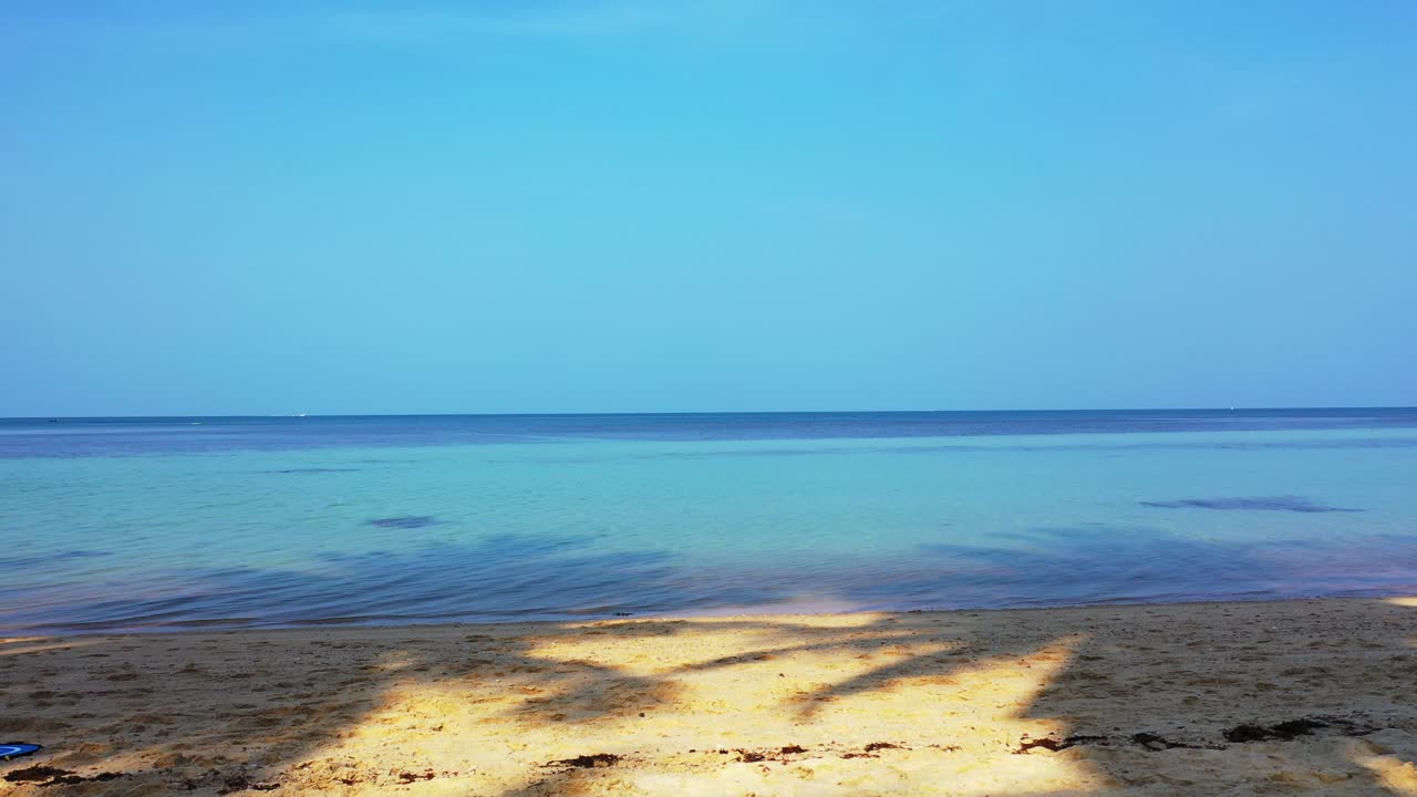 깨끗한 모래사장에 그림자를 드리우는 야자수