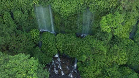 selva exuberante en lombok con agua dulce que fluye por la pared verde, antena
