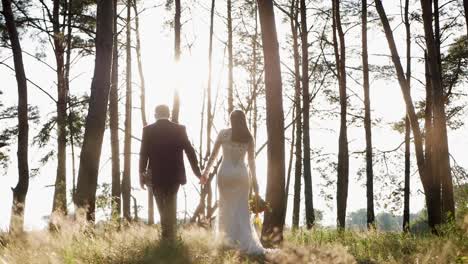 Groom and Bride in a Park Wedding Dress Bridal Wedding Bouquet of Flowers Love the Groom Stylish and Tender Couple in Love the Bride and Groom on their Wedding Day on a Walk in the Woods Laughing and Hugging Happy Family