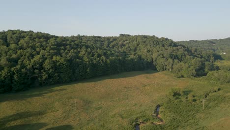 a serene aerial shot of rolling hills and lush green forests on a clear summer day