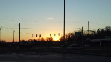 Hermoso-Amanecer-Sol-Sol-En-El-Soleado-Bosque-De-Coníferas-De-Primavera