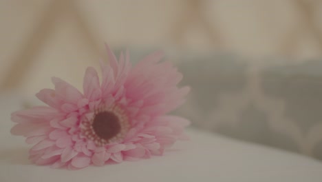 disparo de cerca de una flor rosa en la ropa de cama