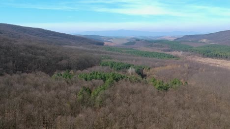 Ascending-over-a-forest-at-springtime