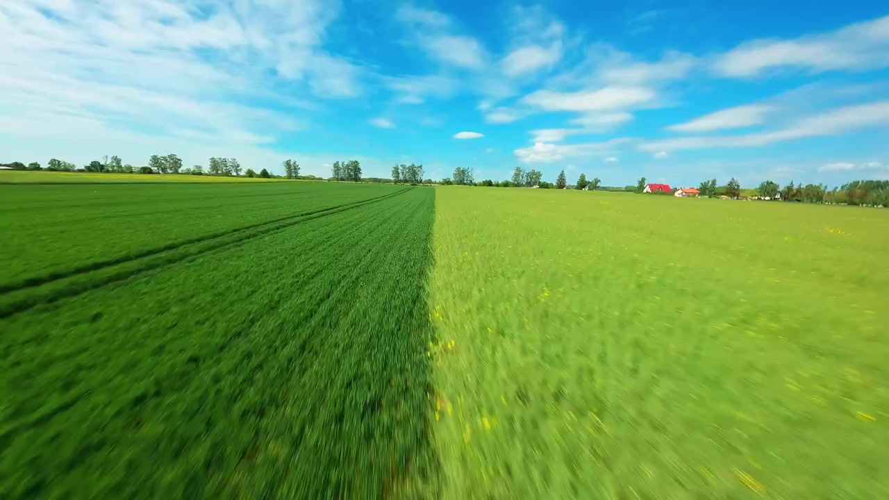 Fastpaced aerial FPV drone footage gliding over lush green agricultural fields under a bright blue sky. Perfect for sustainability and ecofriendly farming concepts.