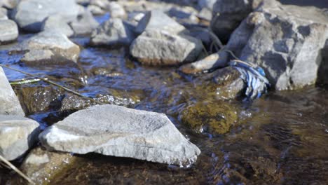 Cámara-Lenta-Cerca-Del-Agua-Que-Fluye-Sobre-Las-Rocas