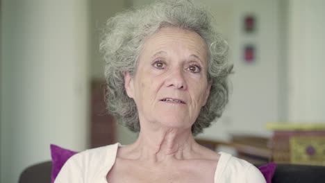 grey-haired old woman having video chat, waving hand, talking