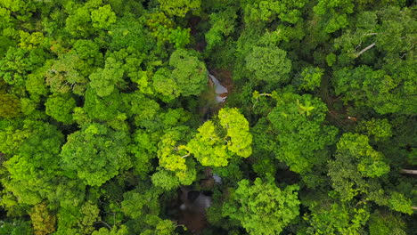 タイの風景の中の美しい緑の森の上を飛んでの空中