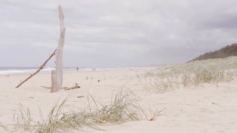 sand dunes of main beach at south gorge in north stradbroke island, queensland australia