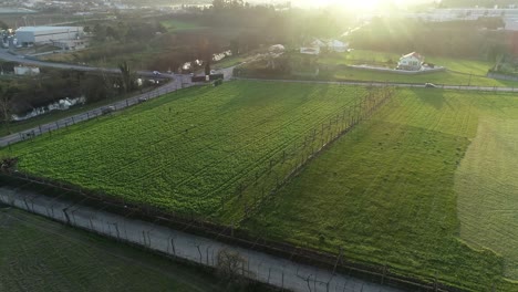 Granjero-Trabajador-Agrícola-Vista-Aérea