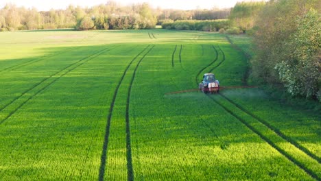 Farmer-with-old-tractor-and-fogger-spray-chemicals-on-green-wheat-field