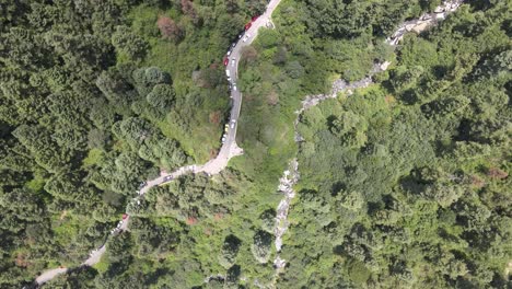 Foque-Hacia-Abajo-En-Vista-Cenital-Sobre-El-Río-Y-La-Carretera-En-Medio-Del-Bosque