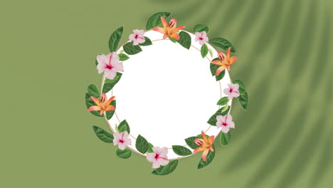 animación de un patrón floral con espacio de copia sobre un fondo verde