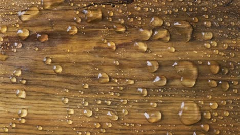 raindrops on a wooden board. the wind blows off drops of water.