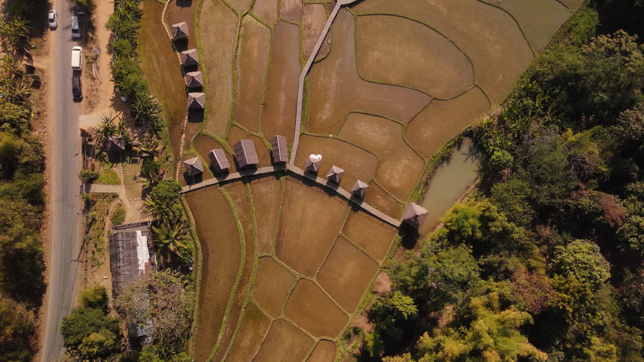 Aerial View of Terraced Rice Paddies and Rural Village