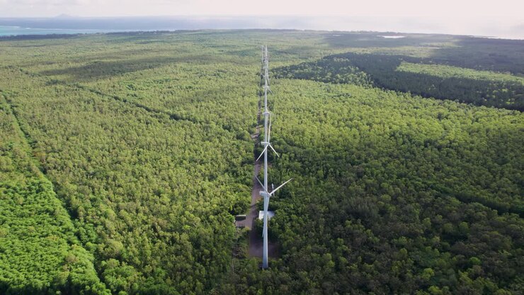 Wind turbines towering above the forest, showcasing sustainable energy, aerial view at dusk