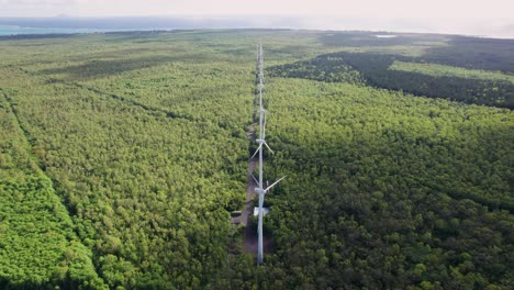 Windräder-Ragen-über-Den-Wald-Und-Zeigen-Nachhaltige-Energie,-Luftaufnahme-In-Der-Abenddämmerung