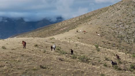 Herd-of-horses-on-a-meadow-of-a-hill,-stunning-cloudy-mountains-in-the-background,-copy-space