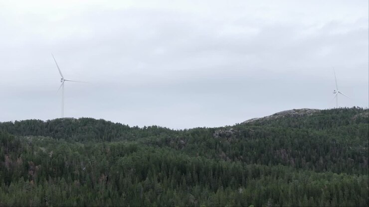 Vindmøller på grønne bakker i Hildremsvatnet, Norge - totalbillede