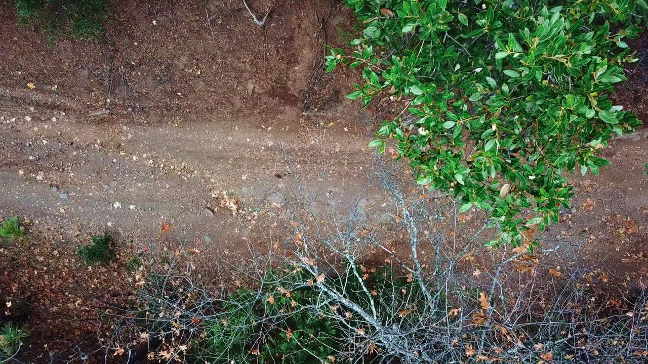 미국의 숲 산에서 비포장 도로를 가로질러 운전하는 오토바이