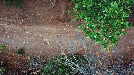 Motorcycle-Driving-Across-Dirt-Road-On-The-Forest-Mountains-In-The-United-States