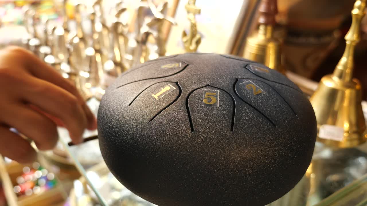 Steel Tongue Drum Percussion Instrument Still Life