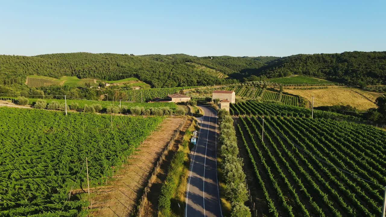 Winding country road through vibrant vineyards in Tuscany during golden sunset