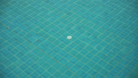 ripple water in swimming pool