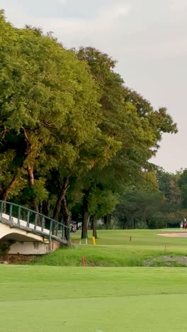 lush green golf course with surrounding trees