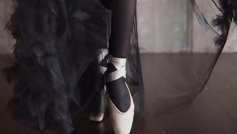 ballet dancer in pointe shoes