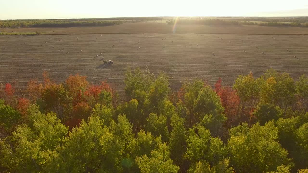 카메라가 짚이나 건초의 큰 둥근 뭉치가 있는 농장 필드 위로 앞으로 이동할 때 바람이 가을 색의 잎이 있는 나무를 불고 있습니다.