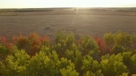 El-Viento-Sopla-árboles-Con-Hojas-En-Colores-Otoñales-Mientras-La-Cámara-Avanza-Sobre-Un-Campo-Agrícola-Con-Grandes-Balas-Redondas-De-Paja-O-Heno