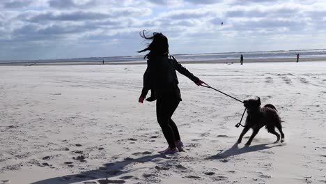 niña jugando con el perro en la playa en un día soleado y ventoso en el océano