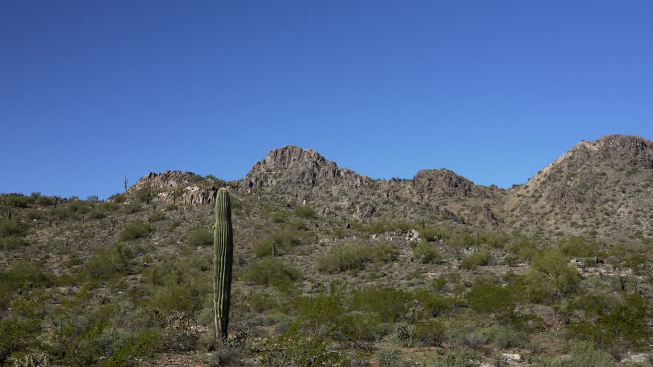 paisaje pintoresco del desierto de arizona con cactus y montañas