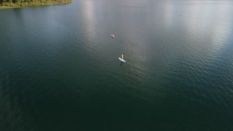 blue lake, palm forest and tourist on paddle bord 4k drone shot in new zealand