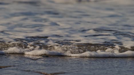 waves breaking gently on the shore near the oosterschelde storm surge barrier, zeeland, super slow motion