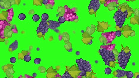 falling grapes on green background