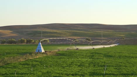 el sistema de riego de pivote central se mueve lentamente en el campo verde.