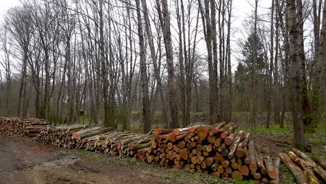 troncos de árboles serrados apilados en pilas de madera para el transporte en el bosque en polonia - vista aérea