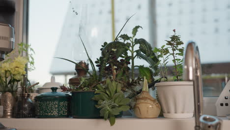 close up of neatly arranged modern kitchen corner with chrome tap, silver blender, ceramic containers, vintage oil dispenser, fresh flowers, and potted plants on windowsill