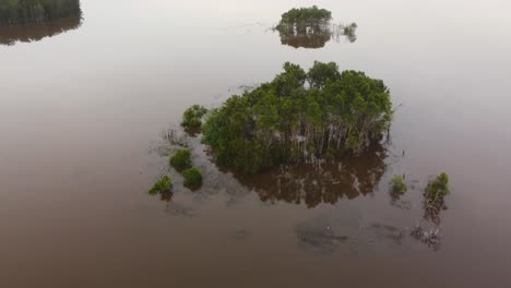 aerial drone scenic pan around mudflat trees island nature reflection tuggerah lakes the entrance central coast nsw australia 4k