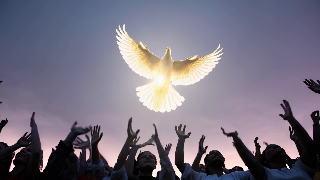 Silhouetted crowd reaching towards a glowing dove in the sky, captured from a low angle