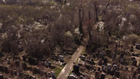 aerial footage of graveyard cemetery halloween