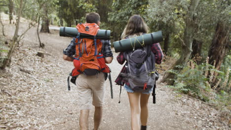 casal de viajantes ativos com mochilas andando na floresta