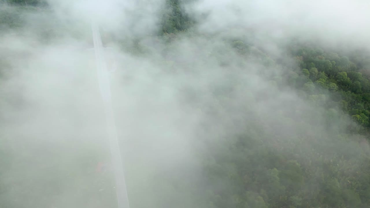 아리엘 드론 뷰 안개가 가득한 아침 해가 지고 푸른 숲이 세메파디 해안 도로 링크 사라와크, 보르네오에 있습니다.