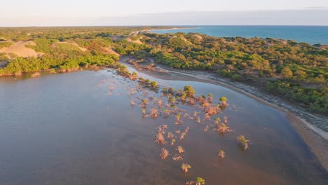 Flight-over-the-mangroves-and-dunes-of-Bani-in-sunny-day,-overlooking-the-sand-and-the-blue-sea,-taken-with-drone